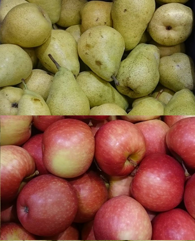Les pommes et les poires sont de retour ! Les pommes et les poires sont de retour !