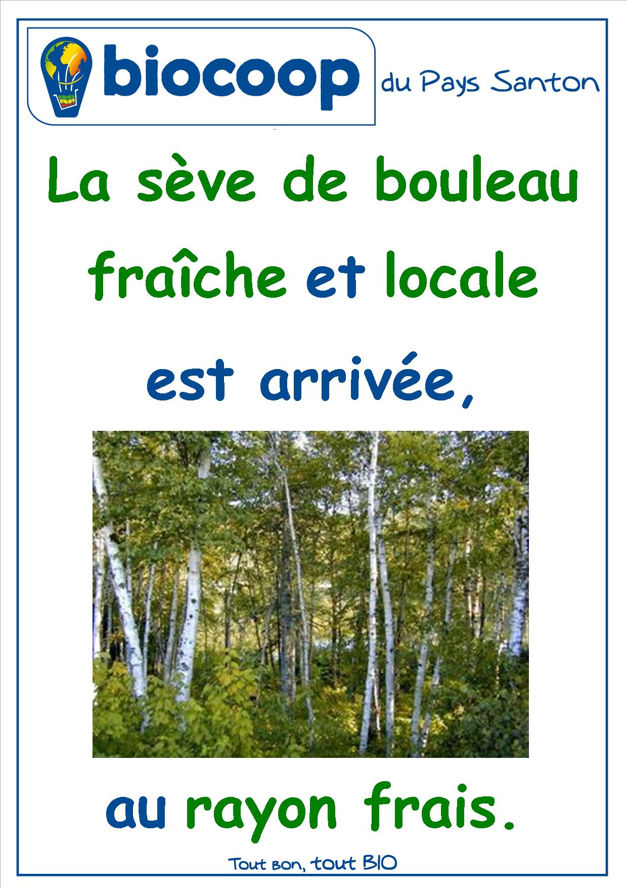 La sève de bouleau fraîche et locale est arrivée La sève de bouleau fraîche et locale est arrivée