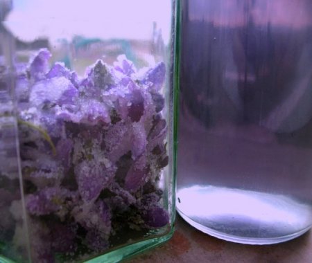 Sirop de violettes Sirop de violettes