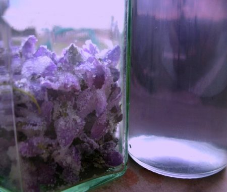 Sirop de violettes