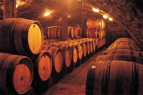 Le vin de Bergerac est sans sulfite du tout à la Biocoop du Pays Santon Le vin de Bergerac est sans sulfite du tout à la Biocoop du Pays Santon