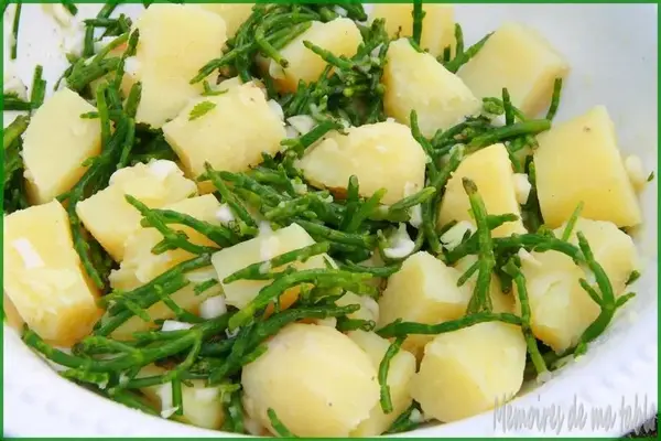 Salicornes et pommes de terre
